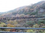 鬼怒川温泉の紅葉